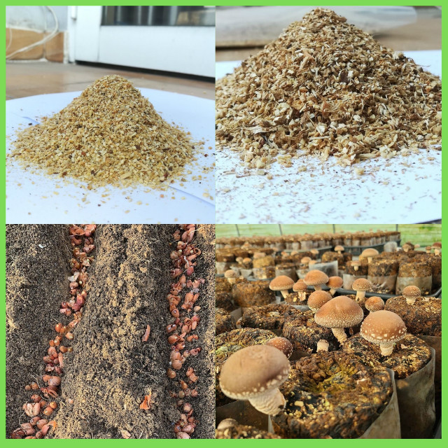 soil des 2.jpg