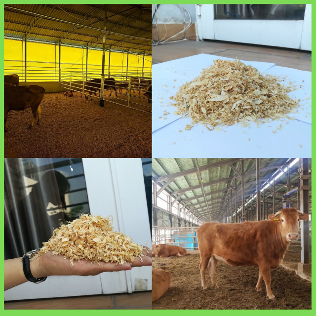 pine shaving forcow.jpg